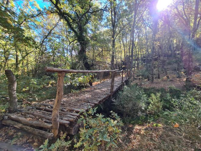 Bridge in the Tejedelo Forest