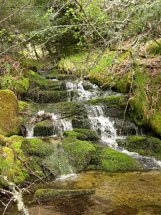 Cascada en el Bosque de Tejedelo