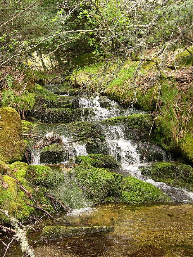 Waterfall in the Tejedelo Forest